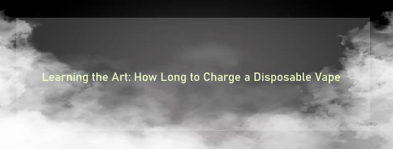 How Long to Charge A Disposable Vape TechBulletin