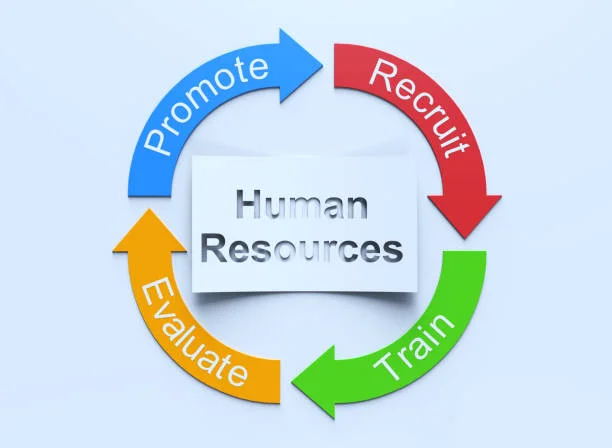 HUMAN resource cycle 1