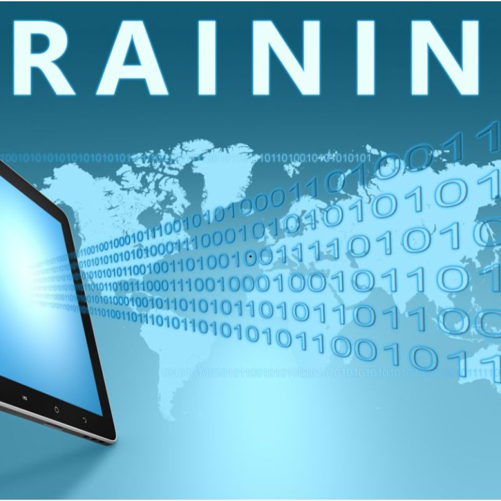 Training vs Inference