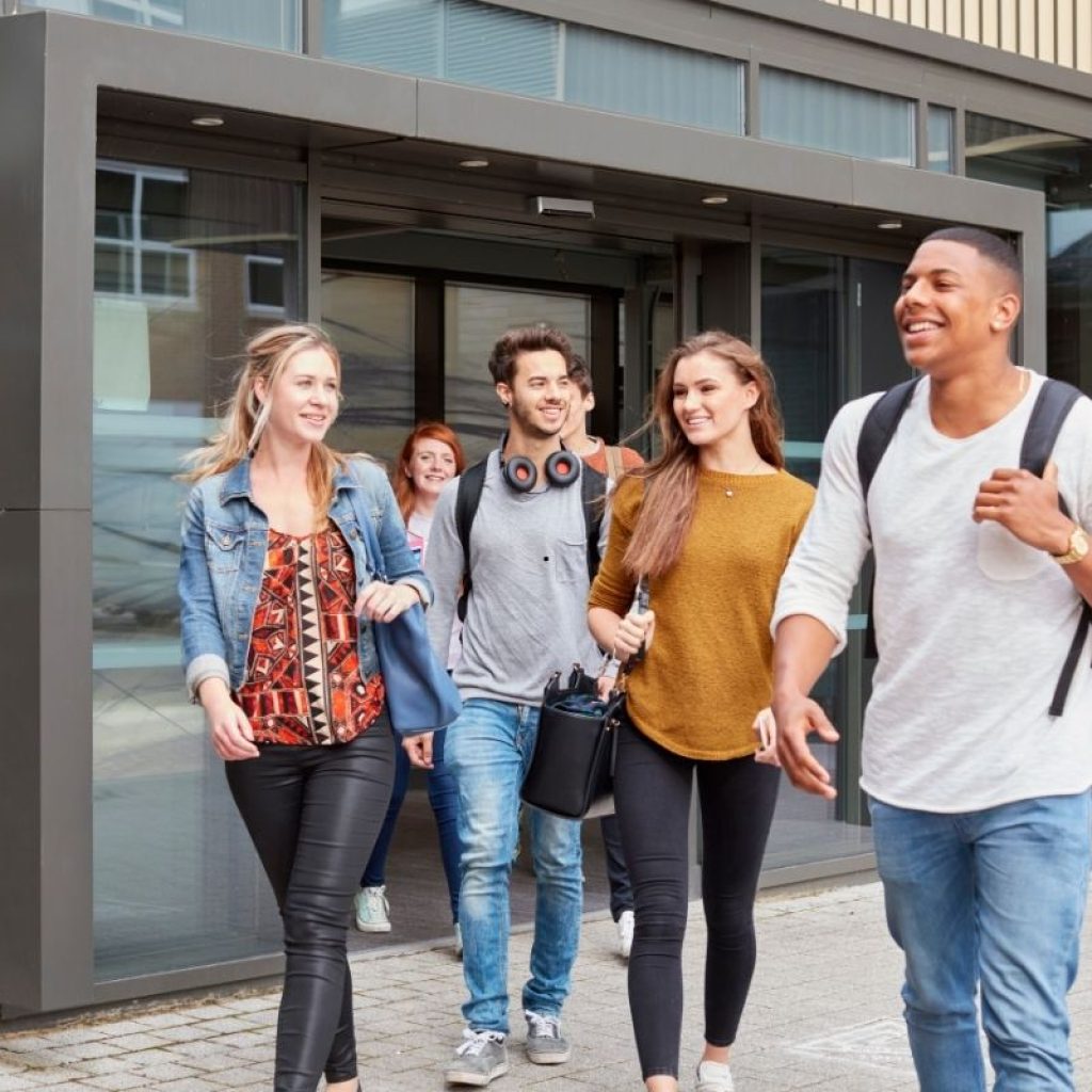 Higher Education and Adult Learning